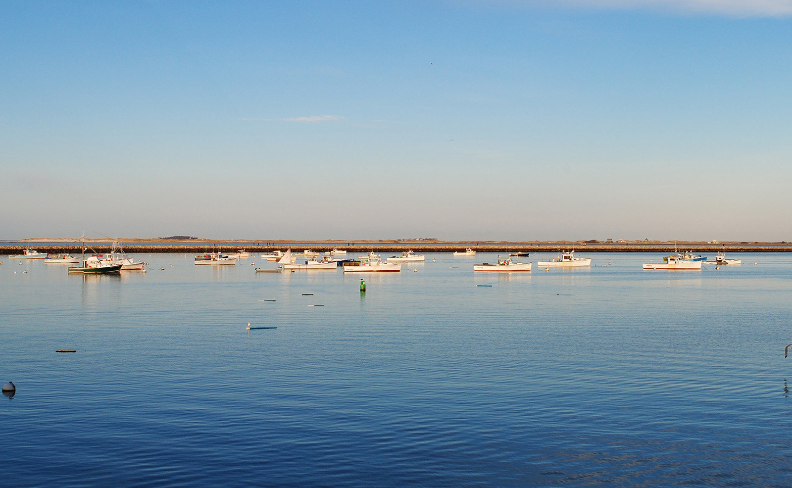 Sandra L. MacDonald, DMD | Sleep Apnea FAQs, Fluoride Treatment and Oral Exams