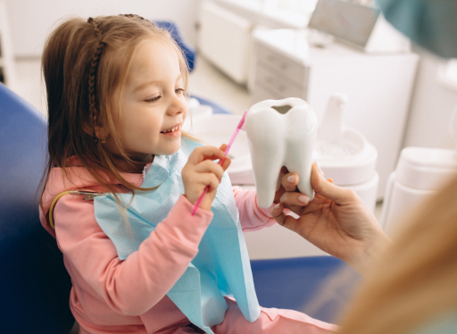 child practicing brushing teeth on a tooth model